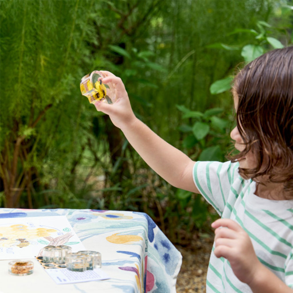 Specimen Life Cycle Puzzles - Honeybee
