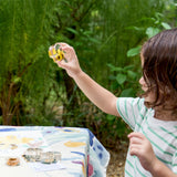 Specimen Life Cycle Puzzles - Honeybee