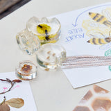 Specimen Life Cycle Puzzles - Honeybee