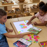 Translucent Tangram Tiles