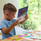 Translucent Tangram Tiles