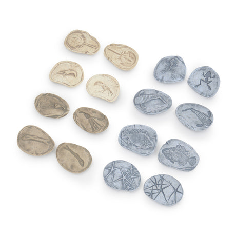 2185-302268 Magnetic Matching Fossil Stones Aquatic Life - Se_03.jpg