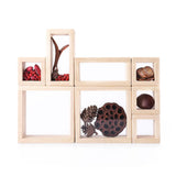 Treasure Blocks - Clear - Educating Kids