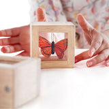 2185-G3084_treasure-blocks-clear_05_large.jpg