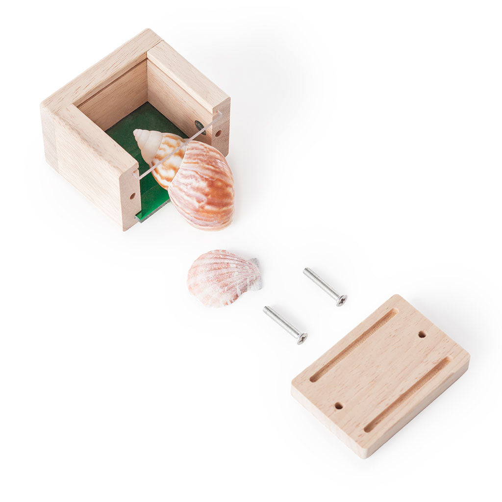 Treasure Blocks - Coloured