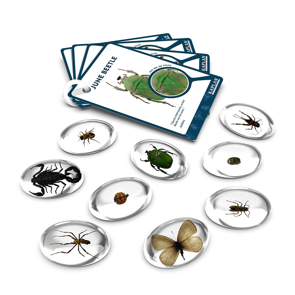 Specimen Stones - Bugs