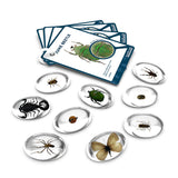 Specimen Stones - Bugs