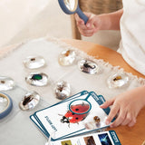 Specimen Stones - Bugs