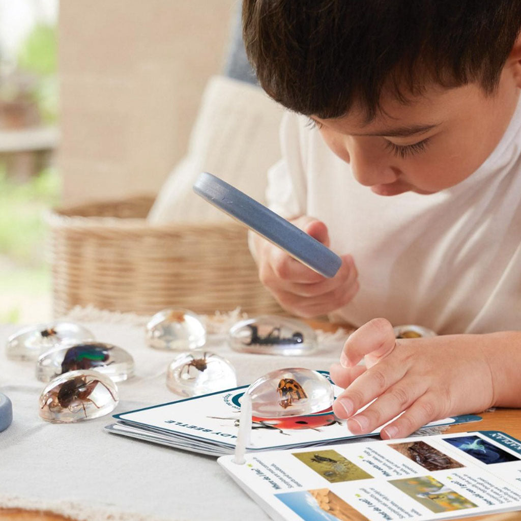 Specimen Stones - Bugs