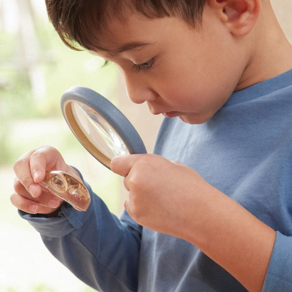 Specimen Stones - Sea Creatures