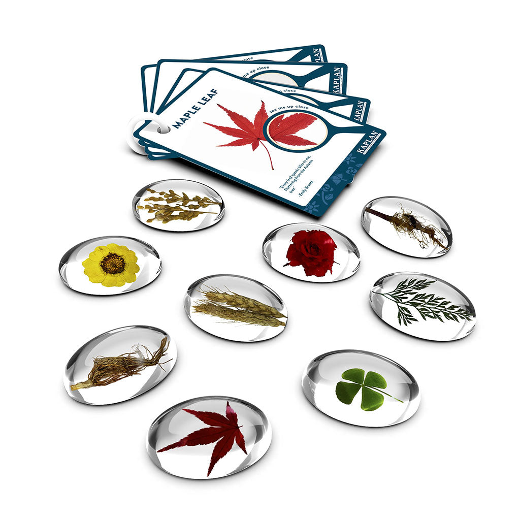 Specimen Stones - Plants