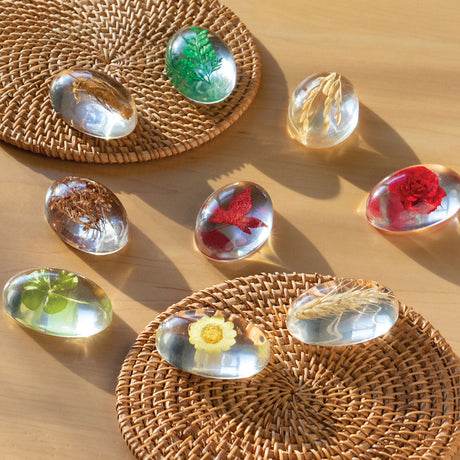 Specimen Stones - Plants