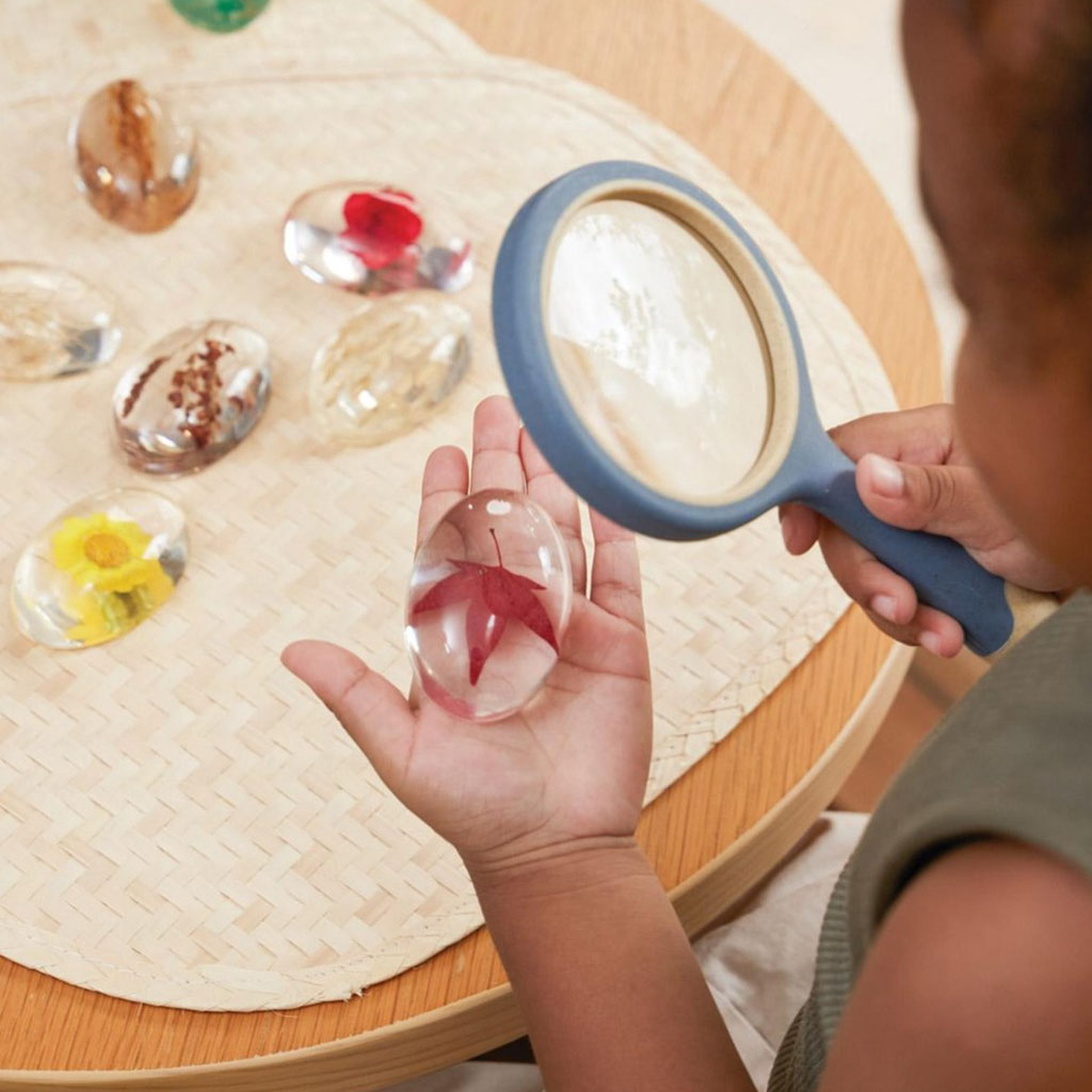 Specimen Stones - Plants