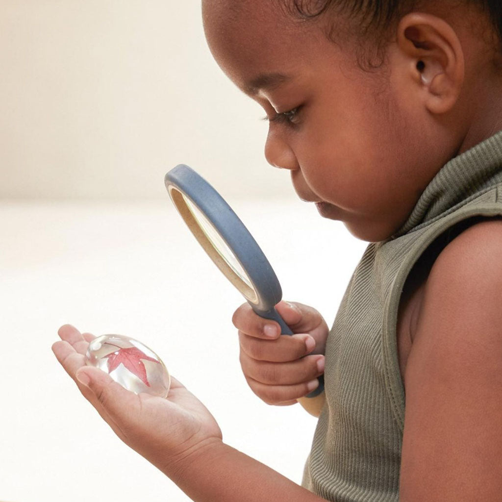 Specimen Stones - Plants