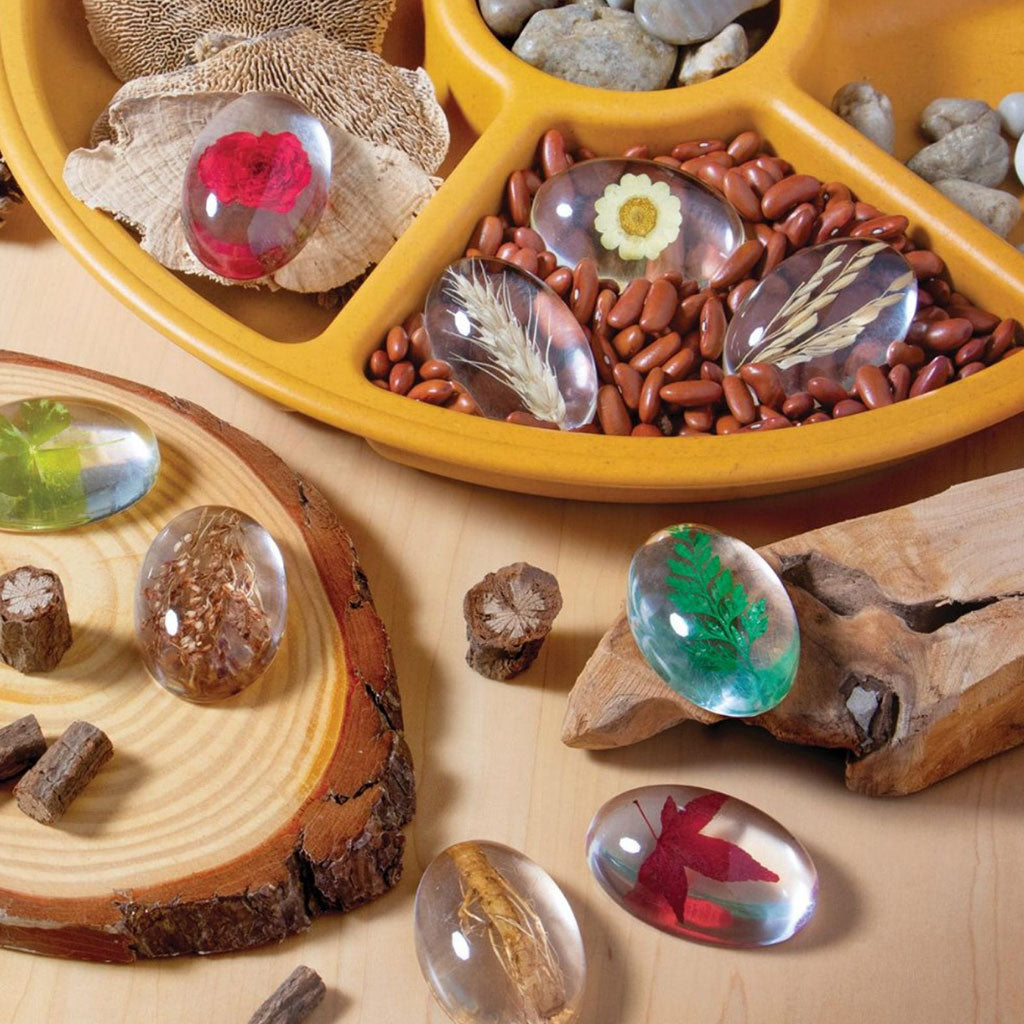 Specimen Stones - Plants