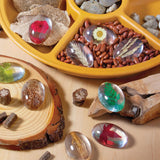 Specimen Stones - Plants