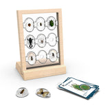 Specimen Stones Tabletop Stand