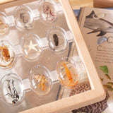 Specimen Stones Tabletop Stand