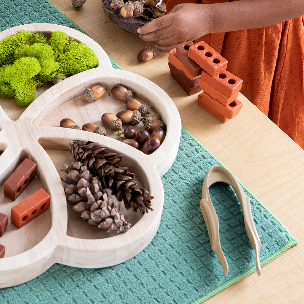 All-Weather Jumbo Tweezers - Set of 6