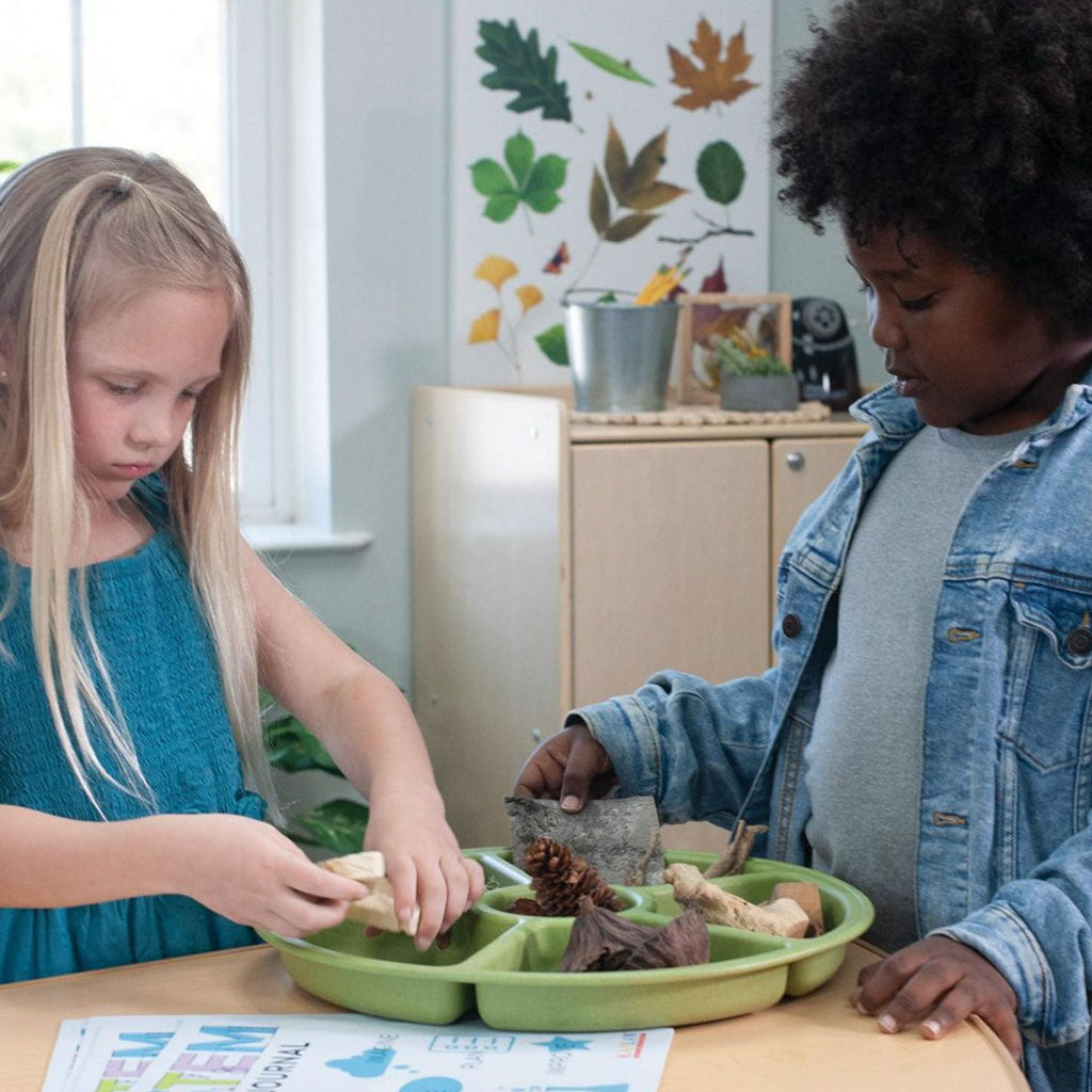 Loose Parts Sorting Trays - Set of 4 - Earth
