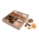 Nature Play Toddler Loose Parts STEM Kit