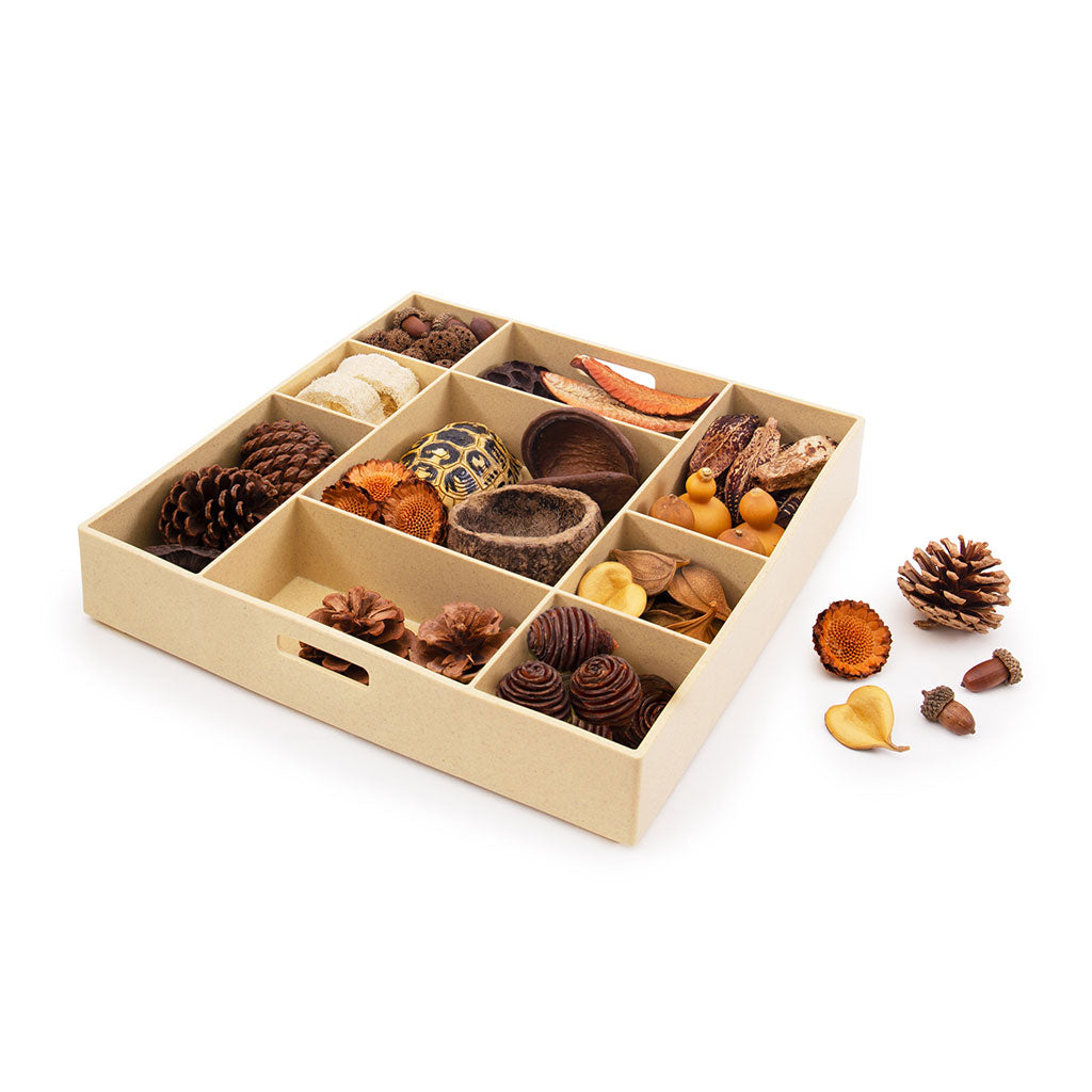 Nature Play Loose Parts STEM Kit