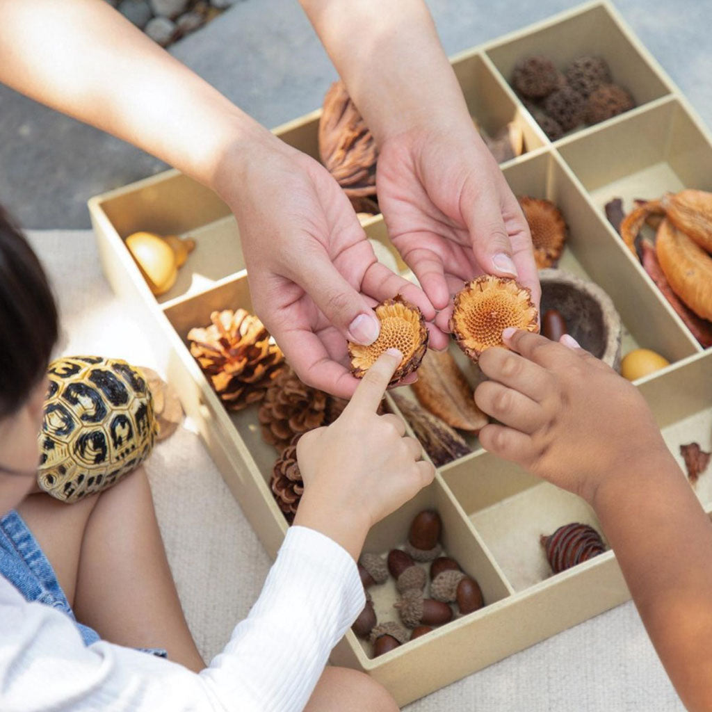 Nature Play Loose Parts STEM Kit