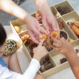 Nature Play Loose Parts STEM Kit