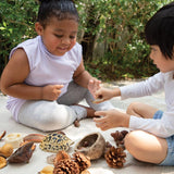 Nature Play Loose Parts STEM Kit