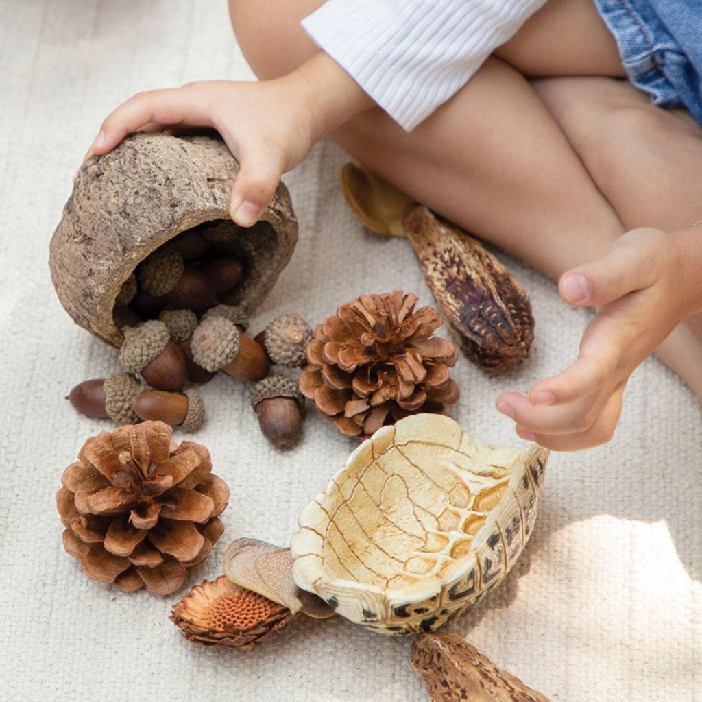 Nature Play Loose Parts STEM Kit