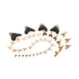 Super Shark Teeth Set - 40pcs