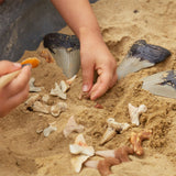 Super Shark Teeth Set - 40pcs