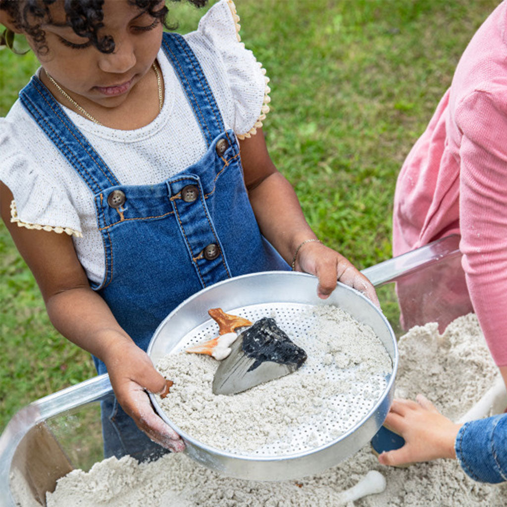 Super Shark Teeth Set - 40pcs