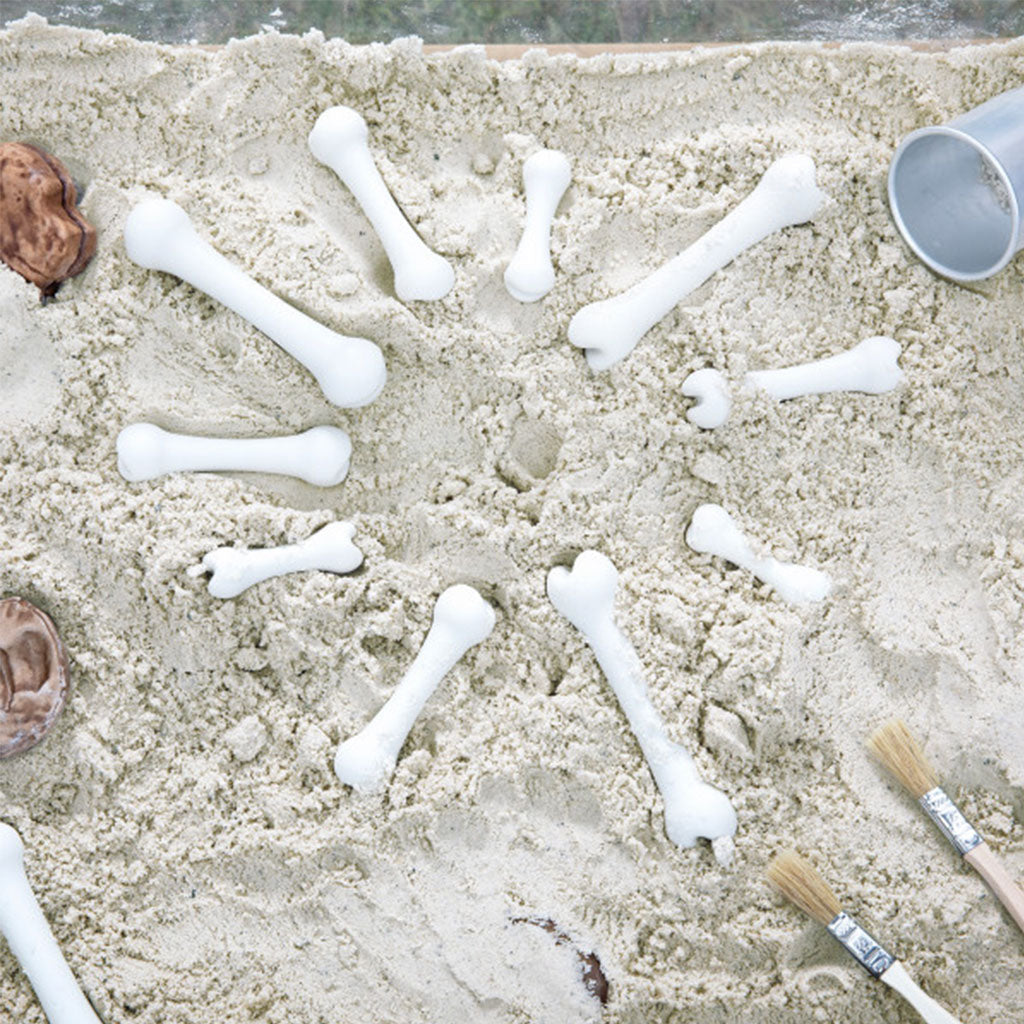 Big Bones Set - 20pcs