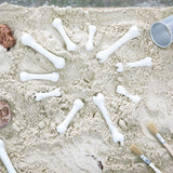 Big Bones Set - 20pcs
