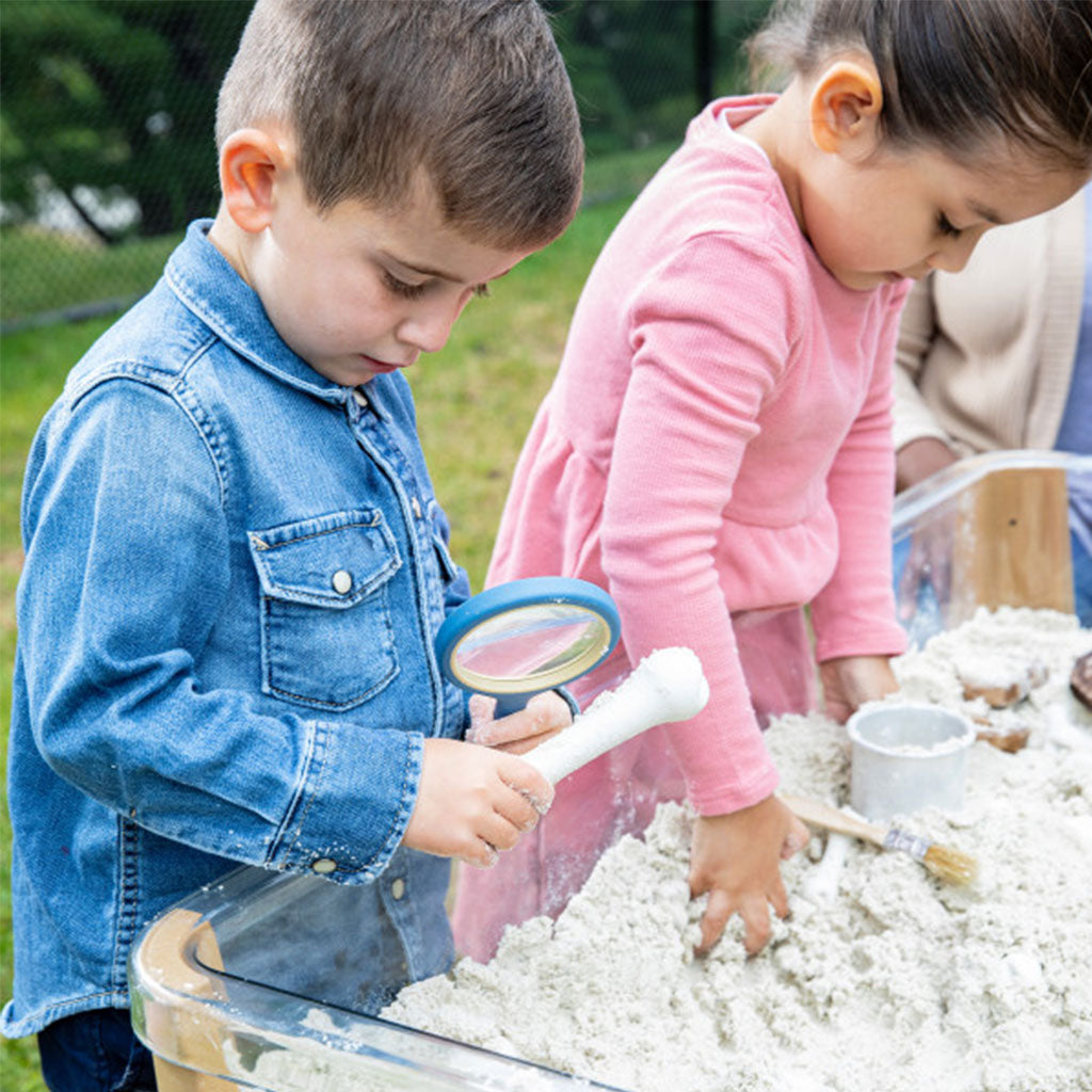 Big Bones Set - 20pcs