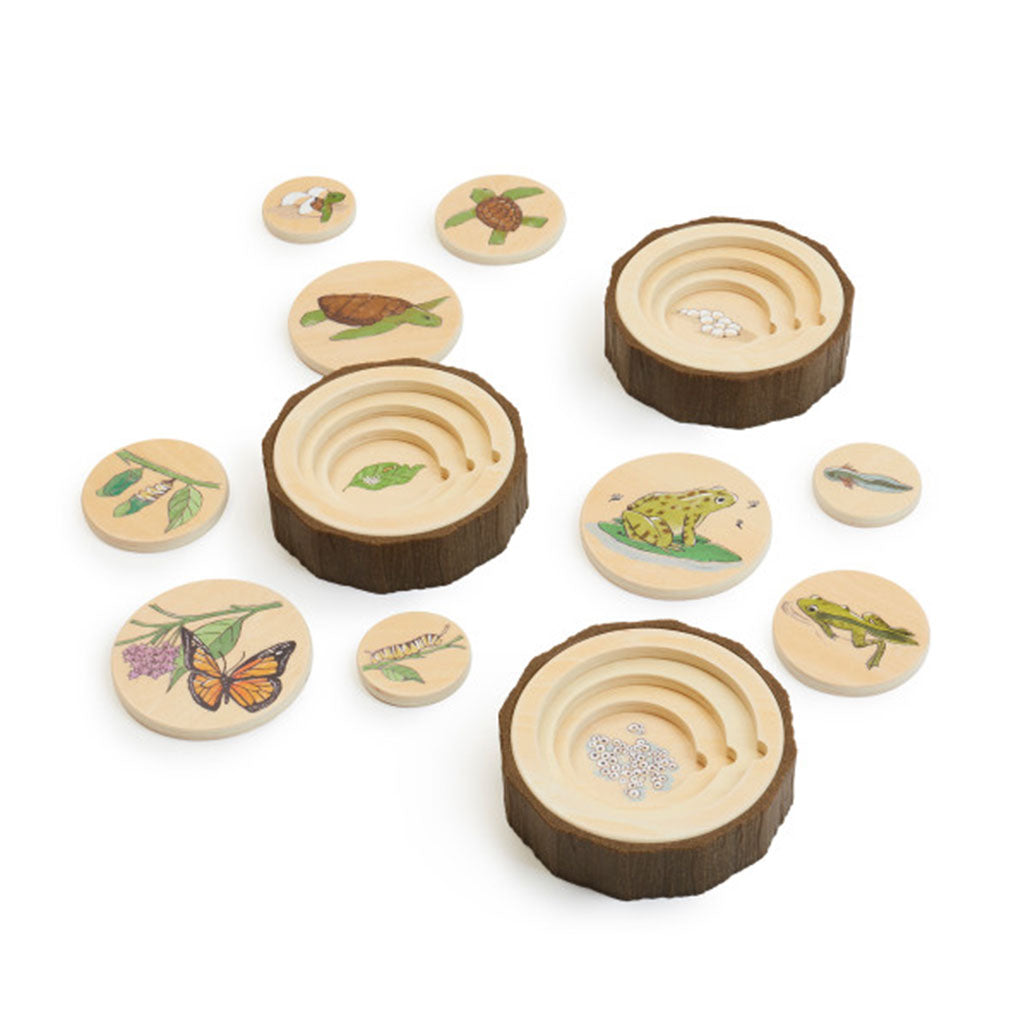 Life Cycle Puzzles - Set of 3