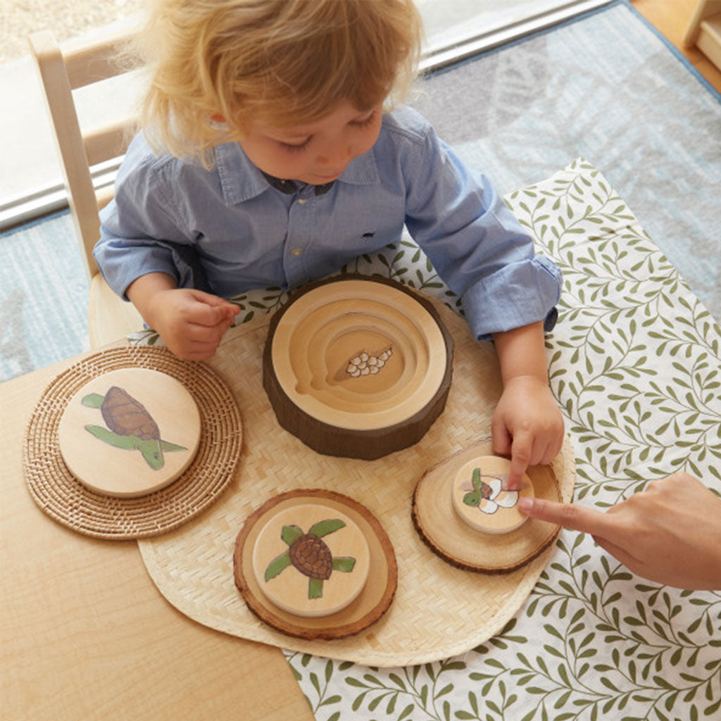 Life Cycle Puzzles - Set of 3