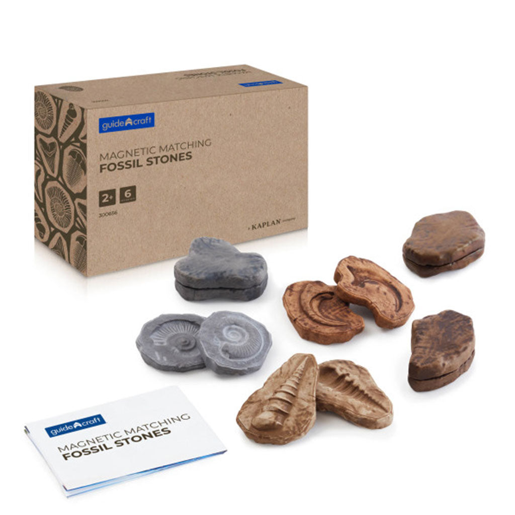 Magnetic Matching Fossil Stones - Set of 6