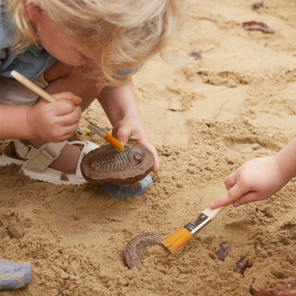 Magnetic Matching Fossil Stones - Set of 6