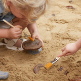 Magnetic Matching Fossil Stones - Set of 6