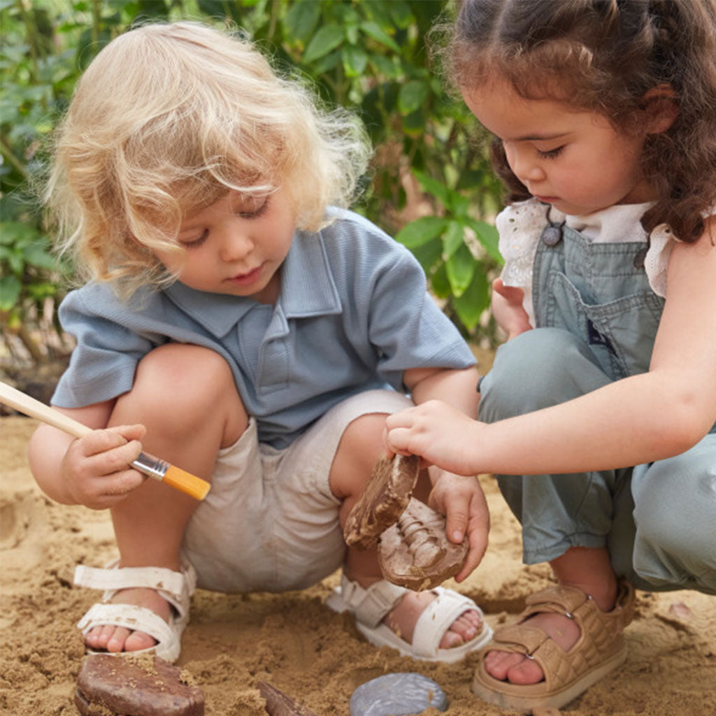 Magnetic Matching Fossil Stones - Set of 6