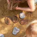Magnetic Matching Fossil Stones - Set of 6
