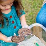 Magnetic Matching Fossil Stones - Set of 6