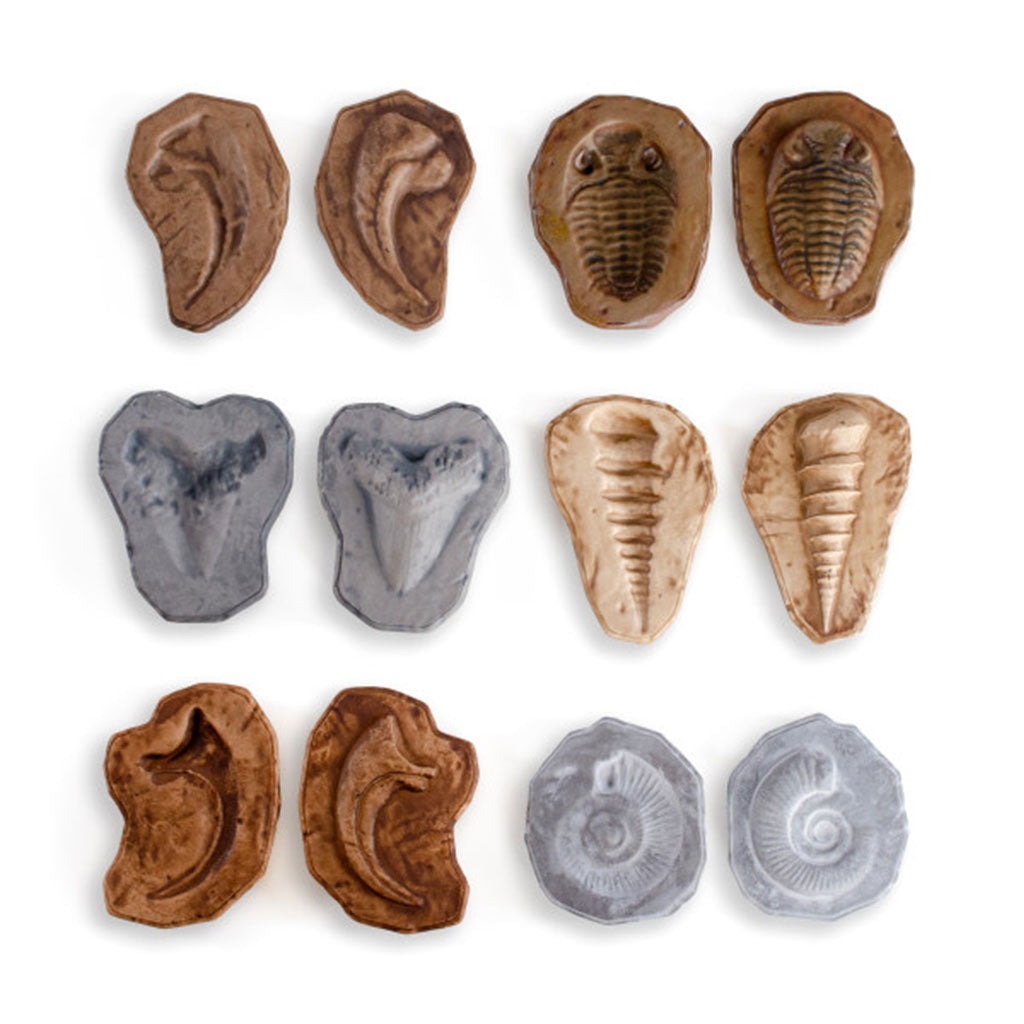 Magnetic Matching Fossil Stones - Set of 6