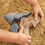 Magnetic Fossil 3D Puzzle - Megalodon Tooth