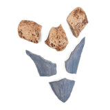 Magnetic Fossil 3D Puzzle - Megalodon Tooth