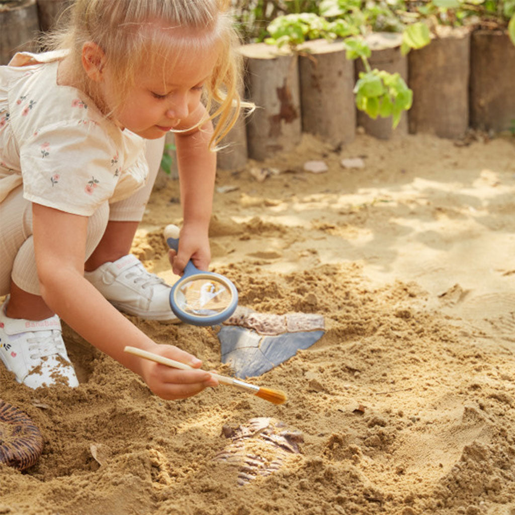 Magnetic Fossil 3D Puzzle - Trilobite