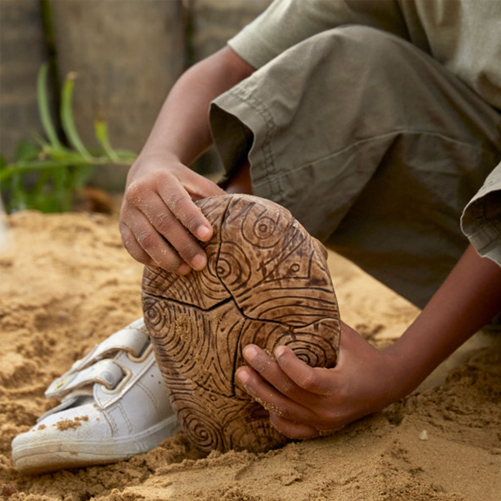 Magnetic Fossil 3D Puzzle - Trilobite
