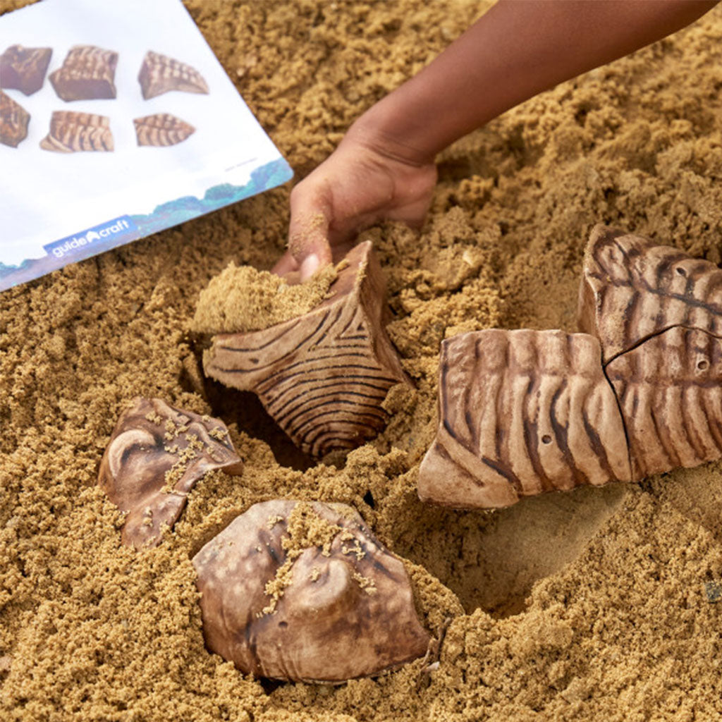 Magnetic Fossil 3D Puzzle - Trilobite
